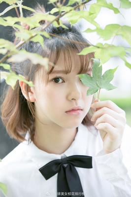 2025最新免费资料大全的警惕虚假宣传-全面释义、解释与落实_: 深刻解读热点事件，难道不值得我们反省？